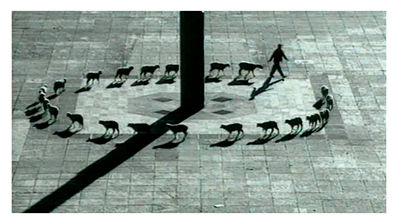 L'importante non è partecipare