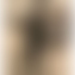 Chi ha paura delle teorie cospirazioniste?