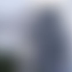 Il Festival come prototipo