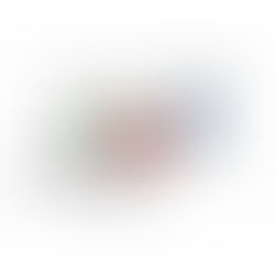 Il conflitto per l'abitare tra rendita, usi temporanei e piattaforme