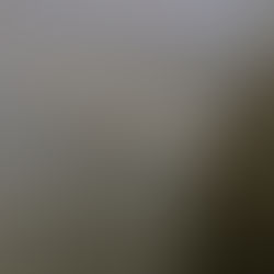 Assalto al cielo (e ritorno). Sulla teologia politica di Mario Tronti