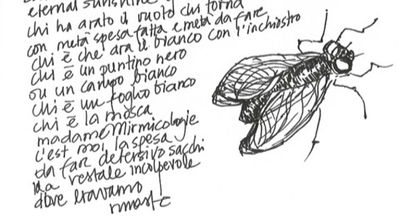 Moscografie, Manufatto poetico 28