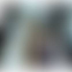 Ripartire dall’alto