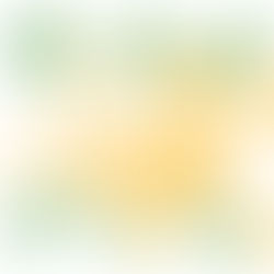 Avevamo soltanto i limoni