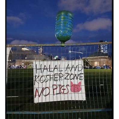 Sulla ricchezza della vita studentesca: Gaza Solidarity Encampments