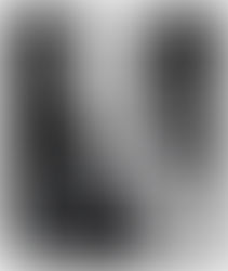 Intervista ad Alberto Asor Rosa (Prima parte)