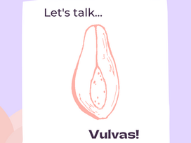 Let's talk Vulva's!