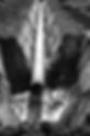 maxmann-pipeline-7476508_edited.jpg