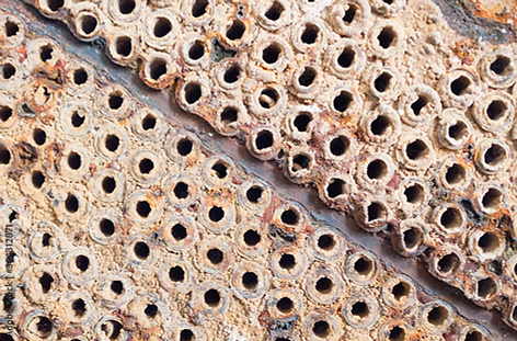 Screenshot 2026-03-06 at 8.34.02 PM.png