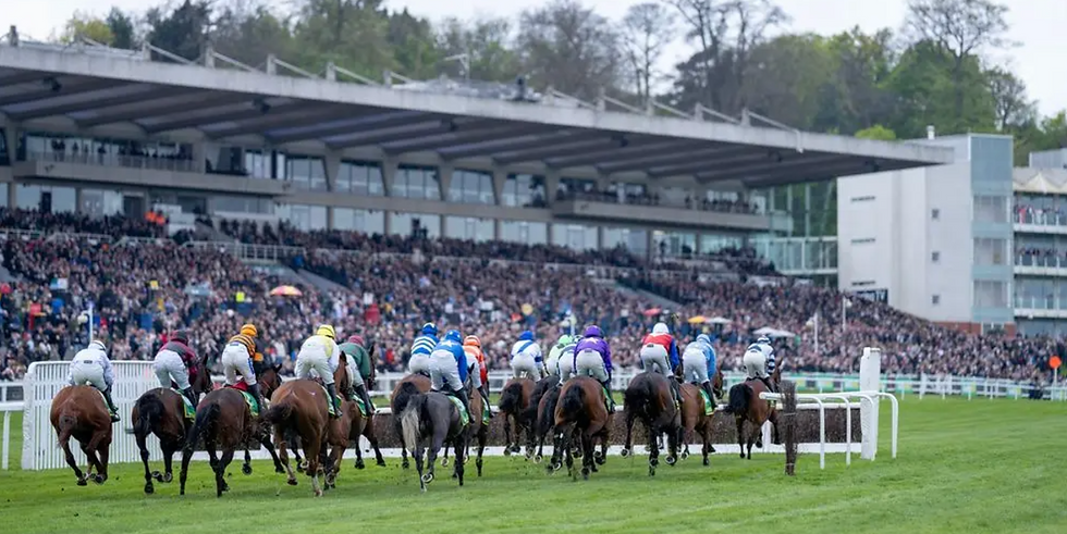 Captura de pantalla 2025-01-28 a la(s) 19.25.19.png