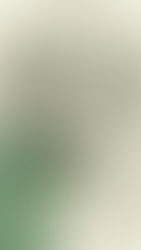 IGUALÁ DE COSTALEROS DE MARÍA SANTÍSIMA DEL AUXILIO