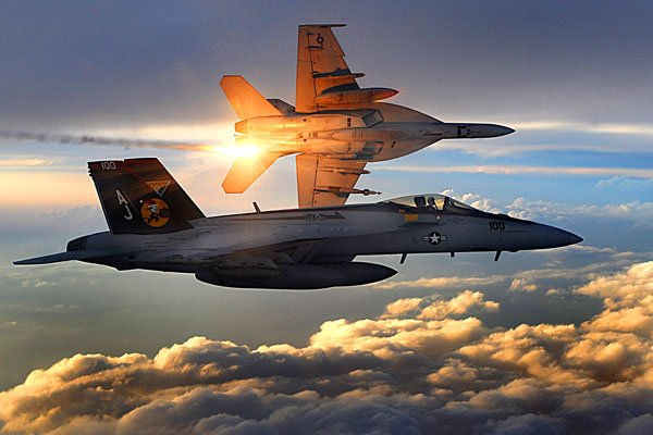 HORNET.jpg