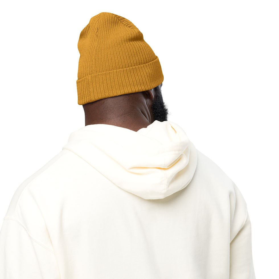 Μικρογραφία: SOL Organic ribbed beanie