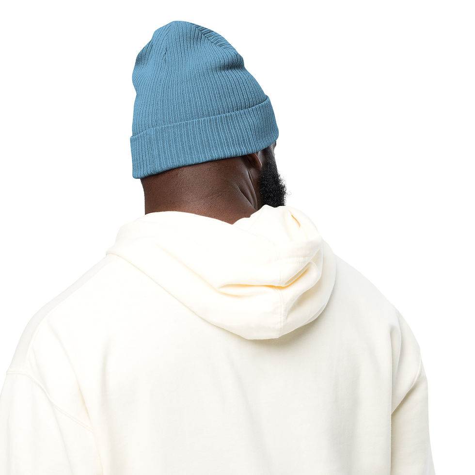 Μικρογραφία: SOL Organic ribbed beanie