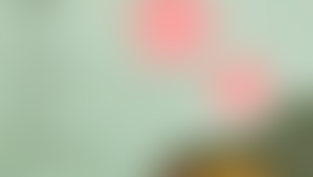 Peulvruchten en vezels