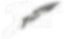 Logo Seiser Kurve