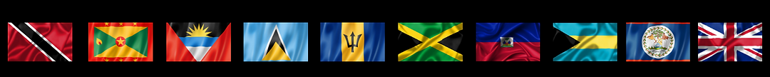 web banner (2).png