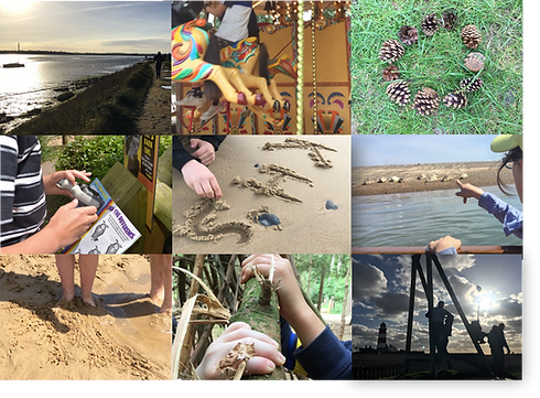 trips and visits collage.png