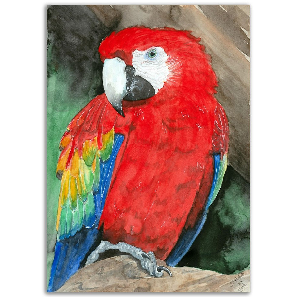 Thumbnail: Macaw Parrot watercolor print
