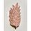 Miniature : Applique Folié