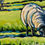 Thumbnail: Sheep Grazing, Marley