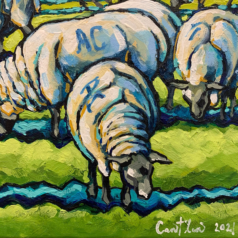 Thumbnail: Grazing, Gorse bush field