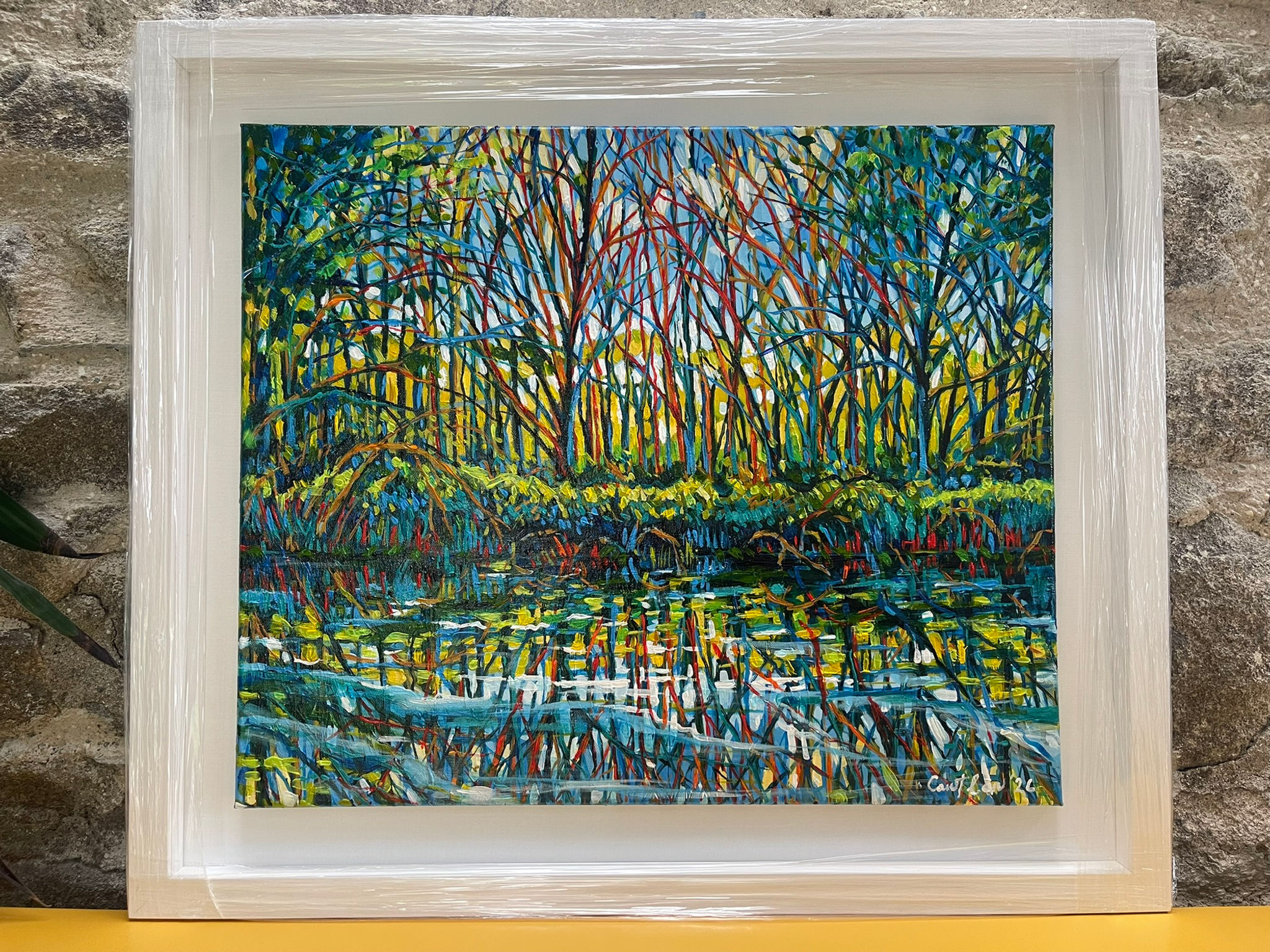 River Barrow Reflected