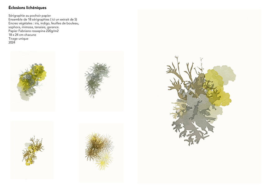 Candidature expo St-hilaire de Riez_MBURKI2610.jpg