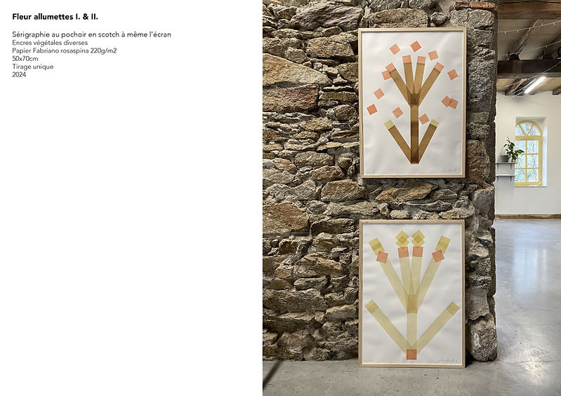 Candidature expo St-hilaire de Riez_MBURKI2626.jpg