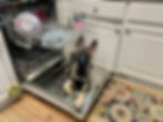 IMG_4894.jpeg
