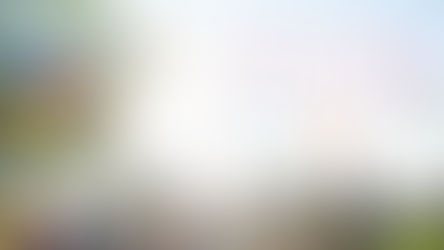 SNBN Nieuwsbrief 28 juni: Afscheid en welkom, VFS-enquête en info over dubbele nationaliteit