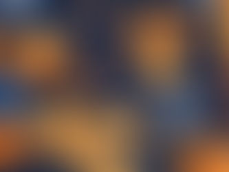 SNBN Nieuwsbrief 19 december: Update Kabinetsformatie & Fijne feestdagen!