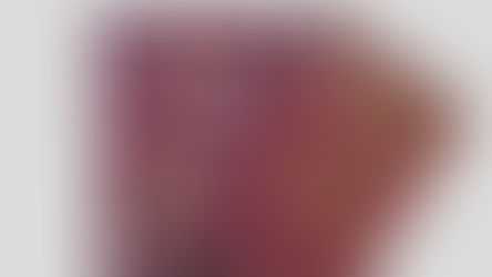 SNBN Nieuwsbrief 20 april: Update dubbele nationaliteit