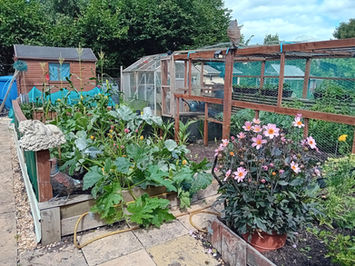 America Lane Allotment - 1st Place