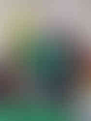 Town Mayor, Cllr Duncan Pascoe, with a representative from the Plant Based Treaty