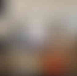 The unveiling of a commemorative plaque at Barn Cottage