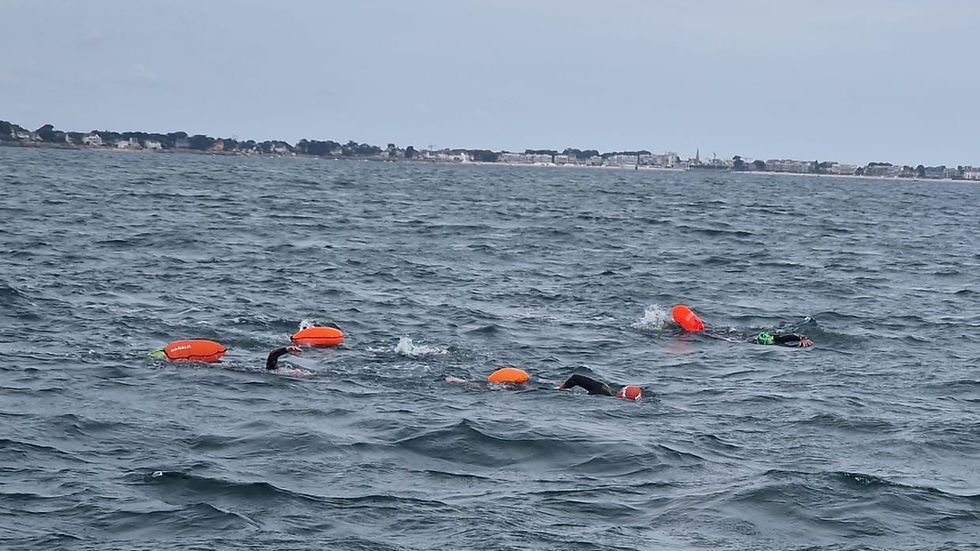 Nageurs en baie de la Baule