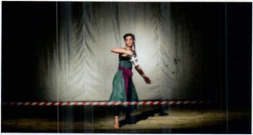 MEETINGS AND ARTISTIC CREATION (DANCE)