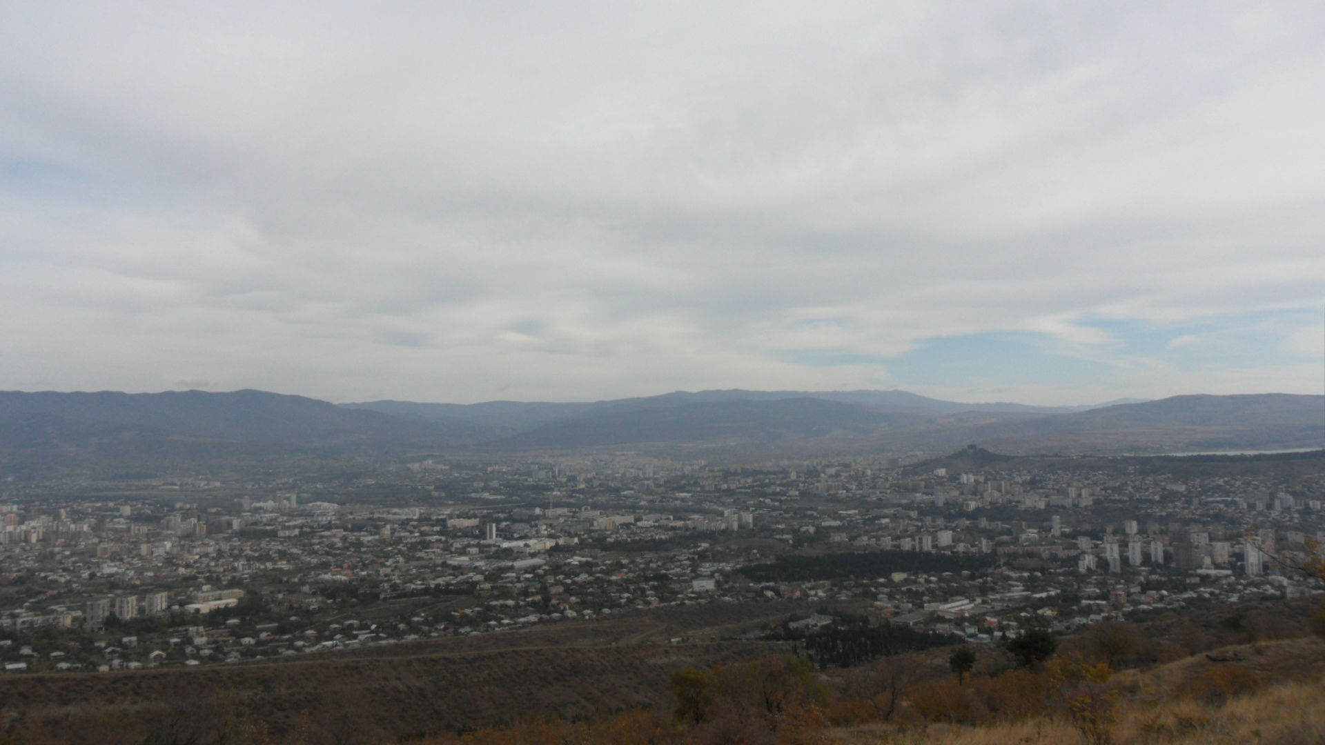 SAM_0955