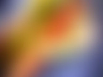 Festive Beef Fajitas 