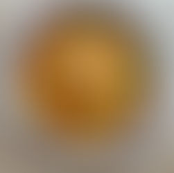 Navy Bean Veggie Soup