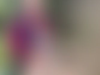 "Путін - сук*н син": все, що треба знати про настрої на Курщині