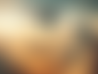 У Польщі шукають дрон, який залетів туди під час масованої атаки України, - повідомив Оперативний командувач Збройних сил генерал Мацей Кліш