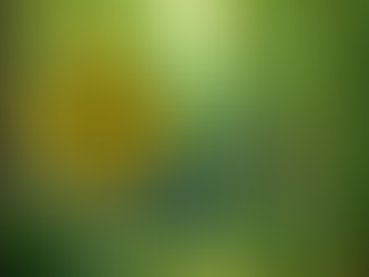 МАГАТЕ закликає Росію негайно деокупувати Запорізьку АЕС і повернути станцію під контроль України, - повідомляє Міненерго