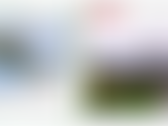 Білоруські пропагандисти проілюстрували патрулювання кордону світлиною гелікоптера, який розбився 8 років тому, — пише Детектор медіа