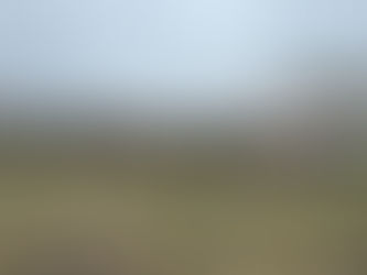 Чоловічий рейс у Румунію вартістю €340 000: прикордонники зупинили бус із 34 ухилянтами