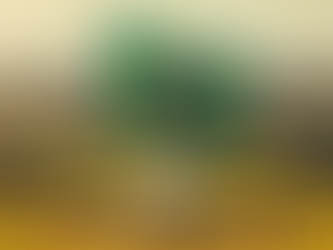 Компанія Starlink заявила, що блокуватиме соцмережу X у Бразилії