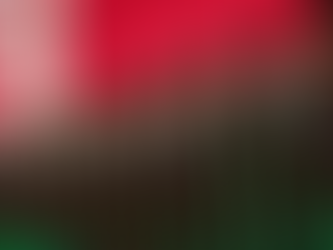 У Білорусі оголосили перевірку бойової готовності