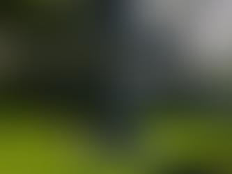 Україна може створити військові комендатури на території Курської області у разі необхідності