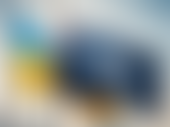 У Білому домі хотіли після перемоги Трампа заявити про запрошення України до НАТО, але потім відмовилися від цієї ідеї